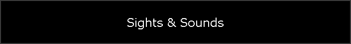 Sights & Sounds